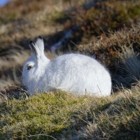 Stephen (@yourmovefirst1) 's Twitter Profile