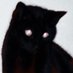 WORLDWIDED Highlights ❁ (@worldwhighlight) Twitter profile photo WORLDWIDED Highlights ❁ (@worldwhighlight) Twitter profile photo