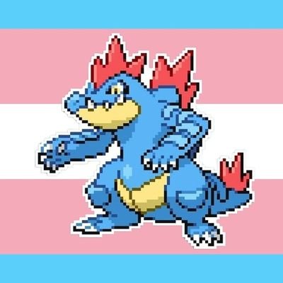 TRFeraligatr's profile picture. hello, i am Trans rights Feraligatr.
the 2nd Trans Rights Mon to ever join Twitter