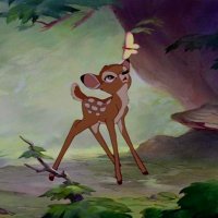 mkay 🧸 || bambi of edtwt (@tinylovergirl) 's Twitter Profile Photo mkay 🧸 || bambi of edtwt (@tinylovergirl) 's Twitter Profile Photo
