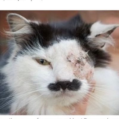 jpillbilly's profile picture. Heavenly glory over earthly pleasures