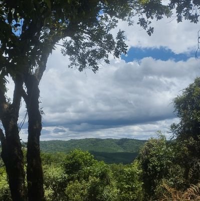 jorge_rosa84382's profile picture. Brazilian guy interesed in japanese culture.