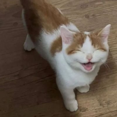 gym_venna's profile picture. GYM is my life