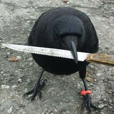 Crow-With-Knife: The Backstory Profile