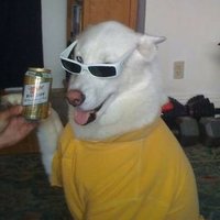 kareba (@akarosca) 's Twitter Profile Photo