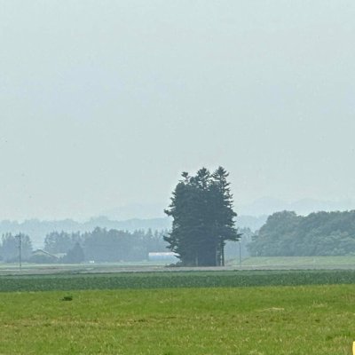 自宅から小さく始めた民泊も10年目。