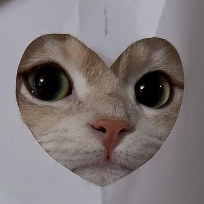 nom •ɞ• oJoさんのプロフィール画像