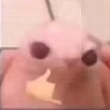 CasmuuTh's profile picture. 