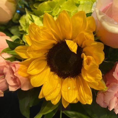Pamela401827143's profile picture. 
