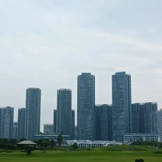 lianguangh25445's profile picture. 