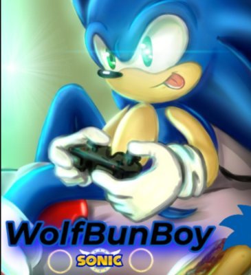 WolfBunBoyさんのプロフィール画像