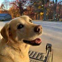 Bunn Graves (@bunngraves) 's Twitter Profile Photo Bunn Graves (@bunngraves) 's Twitter Profile Photo