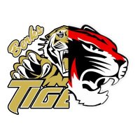 Tigers Softball/FGSA/FHS (@fgsa_softball) 's Twitter Profile