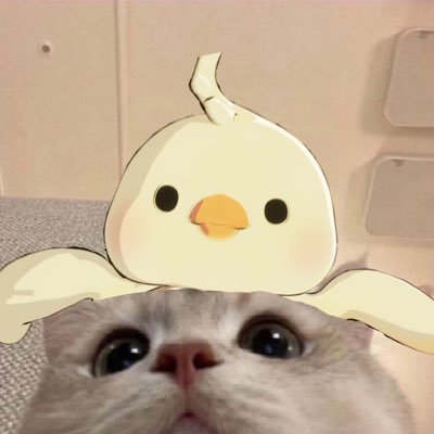 doozer🦈 + roomies┊kpop ✧ multifan🪽🫰 。・:*:・゚☆ 《💙💜💗❤️🖤》 ‧₊˚✧plli✧˚₊‧ ˗ˏˋ쁜라인´ˎ˗ ┊heavy rt