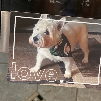 Kipcdw's profile picture. Pro life. Jesus is Lord.