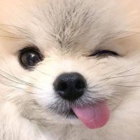 𝑸𝒖𝒂𝒓𝒖 (@97ljh913) 's Twitter Profile Photo 𝑸𝒖𝒂𝒓𝒖 (@97ljh913) 's Twitter Profile Photo