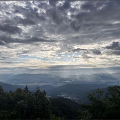 miracleincastle's profile picture. 18.🎃.🐍
01