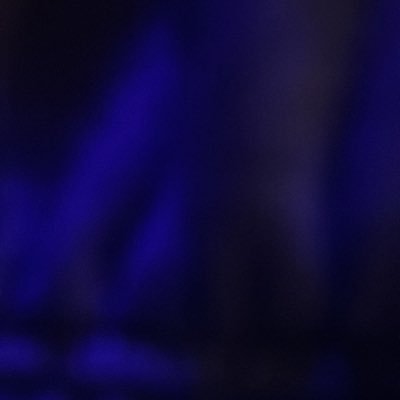 lexibbb229201's profile picture. 