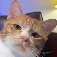 Masato Kanezaki (@kanezakimasato) Twitter profile photo