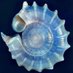 malvaceae (@malvaceae1334) Twitter profile photo malvaceae (@malvaceae1334) Twitter profile photo