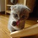 Olivia Mae - @livliv210 - Twitter