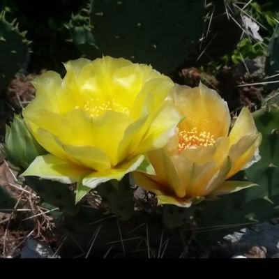 amy_jumper's profile picture. 