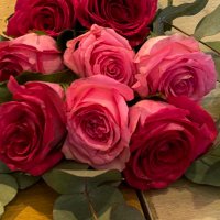 🩷 (@flortrend2) 's Twitter Profile
