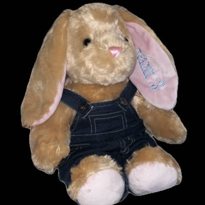 🩷~r.i.p. belle~🩷 /// 19 (suggestive) /// punchable plushie