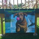 Lynne Carney - @PGCARNEY - Twitter