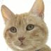 Somos gatos y dominaremos el planeta (@somosgatos_3) Twitter profile photo Somos gatos y dominaremos el planeta (@somosgatos_3) Twitter profile photo