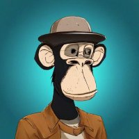 Good turtle 🐢 (@good_turtl60982) 's Twitter Profile
