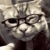 dit (@apphoilus) Twitter profile photo dit (@apphoilus) Twitter profile photo