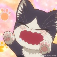 Roy (@hsb59heb) 's Twitter Profile