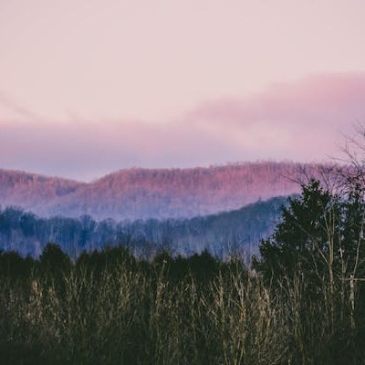 MaziFrank's profile picture. 