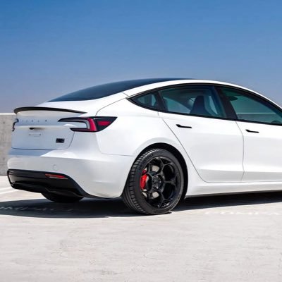 @Tesla_NL_TR