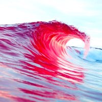 Chicago Red Wave (@chicagoredwave) 's Twitter Profile