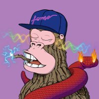 Retard Defi (@retarddefi2246) 's Twitter Profile