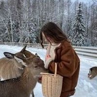 McShirse (@mcshirsej2rt13) 's Twitter Profile