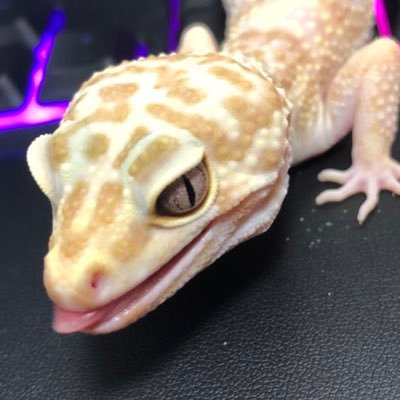 MU/常に３日寝るさんのプロフィール画像