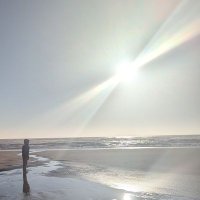 Rachel Lindbeck (@rogerlindbeck) 's Twitter Profile