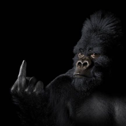 LunglessRL's profile picture. 