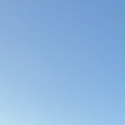 プさんのプロフィール画像