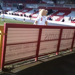 adzystevenage's profile picture. i support stevenage boro fc favourite player tansey and play football for shillington youth