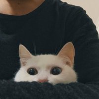 船长spanker (@chuanzhang00713) 's Twitter Profile