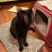🐈⬛ (@qwqsqaqwqsqa0) Twitter profile photo 🐈⬛ (@qwqsqaqwqsqa0) Twitter profile photo