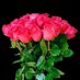الواحش المصري مقيم في بغداد (@hw8wwuue71823) Twitter profile photo الواحش المصري مقيم في بغداد (@hw8wwuue71823) Twitter profile photo