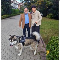 Tufan Teksoy (@tuftek1) 's Twitter Profile