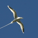 marie-sabrina orange - @MarieSab02 - Twitter