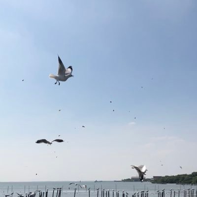 Jackreacher203's profile picture. -