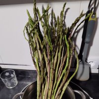 EL QUE NO SALIA DE AMERIDIUM LOS SABADOS (@chotapilar) 's Twitter Profile Photo